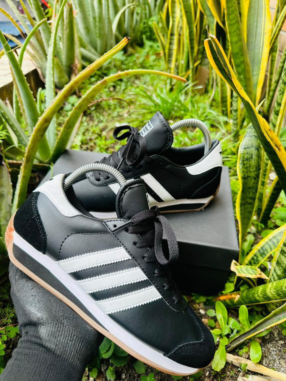 Tenis Adidas Country triple AAA al por mayor Colombia - colorways OG XLG zapatillascolombia.com Cali